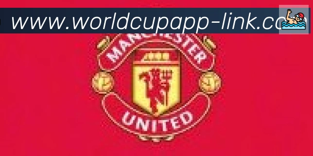 美加墨世界杯客户端下载合作伙伴